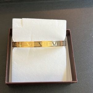 Roma titanium gold bangle bracelet NEW